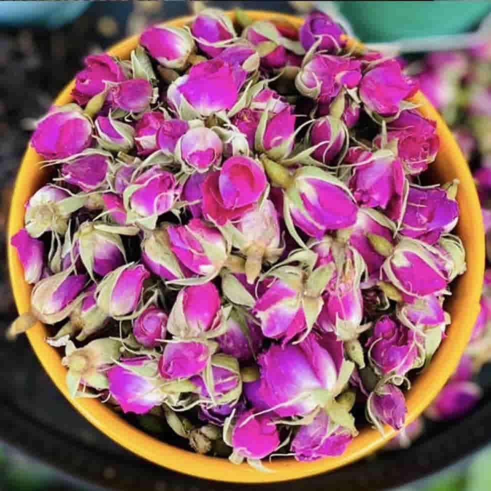 تصویر 2 از غنچه گل محمدی آرامبخش گیاهی خوشبو